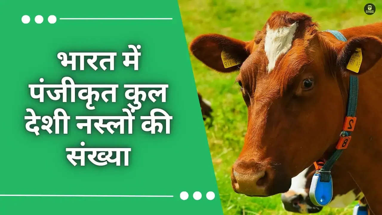 🐄 India’s Pride: Indigenous Breeds! ICAR-NBAGR registers 8 new livestock & poultry breeds in December 2023, taking the total to 220! 📍 HQ: Karnal, Haryana ✅ Cow Breeds: 53 ✅ Buffalo Breeds: 20