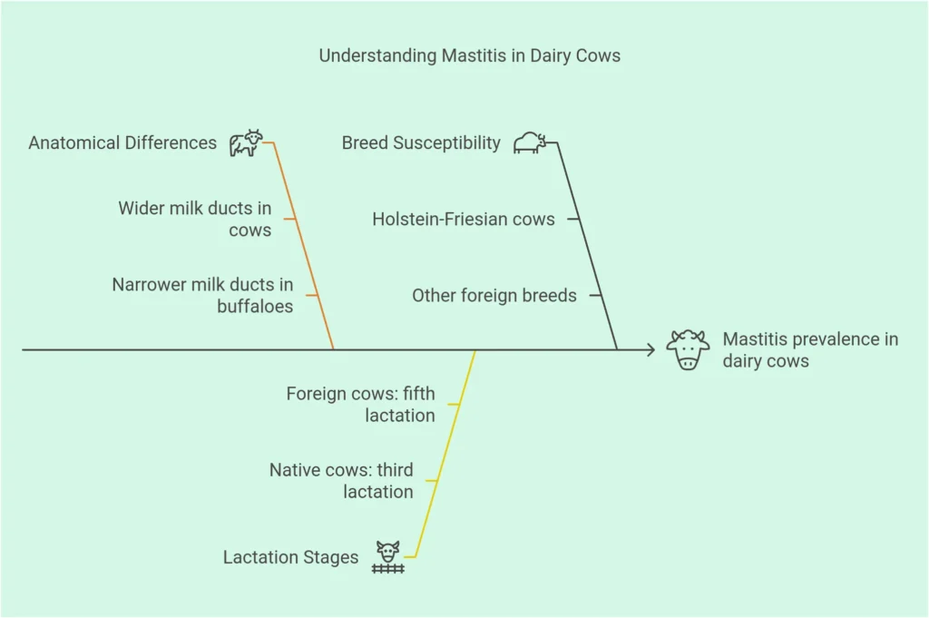 mastitis disease in cattle, mastitis in cattle, clinical mastitis in cattle, mastitis in cattle treatment, treatment of mastitis in cattle, mastitis treatment, mastitis symptoms, mastitis in cows, cow mastitis treatment, bovine mastitis treatment, mastitis in dairy cows, medicine for mastitis in cows, mastitis in dairy cattle, acute mastitis, cause mastitis, cow disease mastitis, cure for mastitis in cows, dairy cow mastitis treatment, dairy mastitis, define mastitis, etiology of mastitis, mastitis in dairy cattle treatment, mastitis meaning, mastitis therapy.