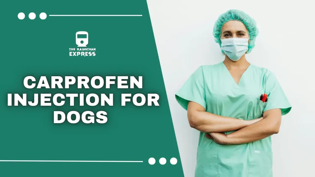 carprofen for dogs dosage chart, Carprofen Injection,carprofen dosing chart,carprofen dosing chart for dogs,carprofen injection for dogs
,carprofen injection