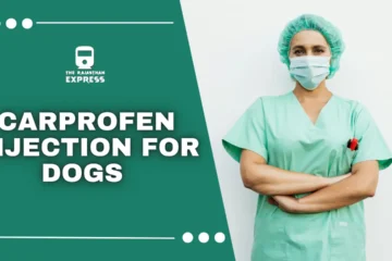 carprofen for dogs dosage chart, Carprofen Injection,carprofen dosing chart,carprofen dosing chart for dogs,carprofen injection for dogs ,carprofen injection