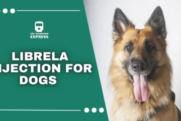 librela injection, librela injection for dogs, librela injection for dogs side effects,librela for dogs, benefits of librela injection, relief from joint pain in dogs