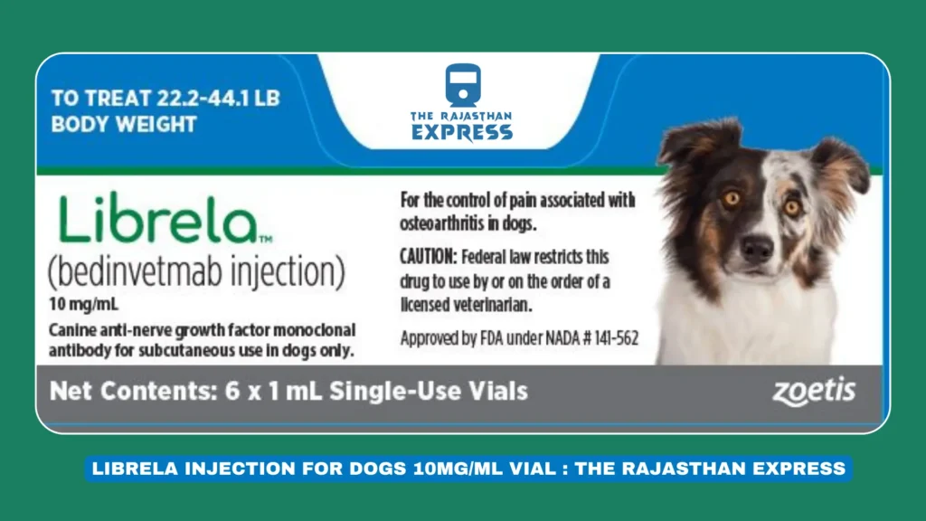 "Librela Injection for Dogs 10mg/ml vial for joint pain and arthritis relief."