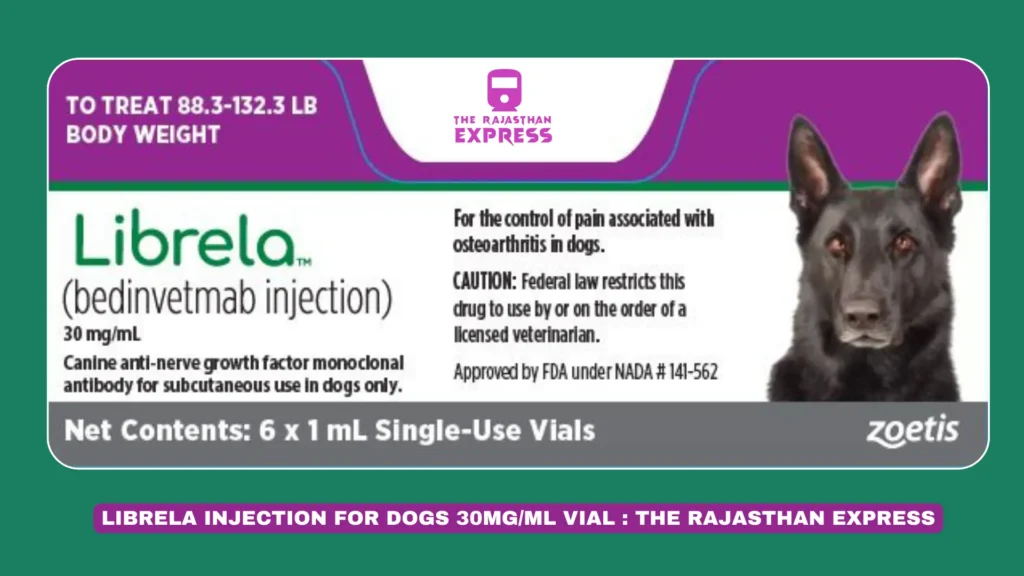 "Librela Injection 30mg/ml vial designed to relieve joint pain and arthritis symptoms in dogs."