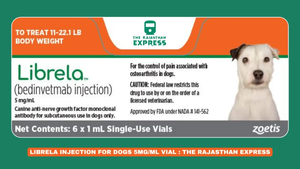 "Librela Injection 5mg/ml vial designed to relieve joint pain and arthritis symptoms in dogs."