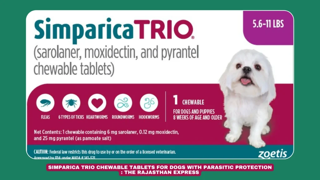 Simparica Trio chewable tablets for dogs on a pet-friendly surface. Dog eagerly taking Simparica Trio chewable tablet for parasite protection