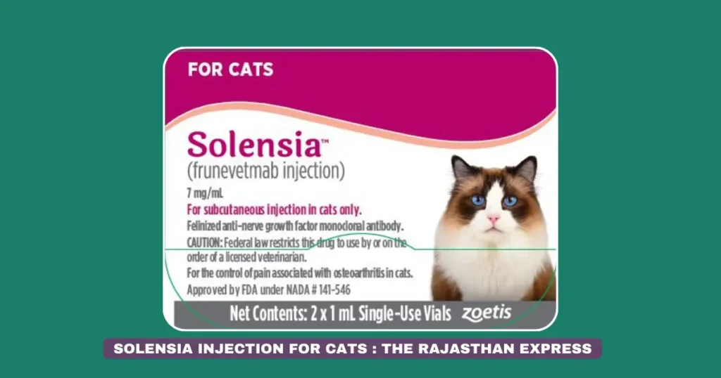 solensia for cats side effects ,solensia cat , solensia injection for cats ,. solensia injection ,. frunevetmab , cat solensia ,side effects of solensia in cats ,solensia cats side effects ,solensia cat side effects ,solensia dosage ,solensia inj ,solensia injections ,solensia side effects ,solensia side effects cats ,solensia side effects in cats ,