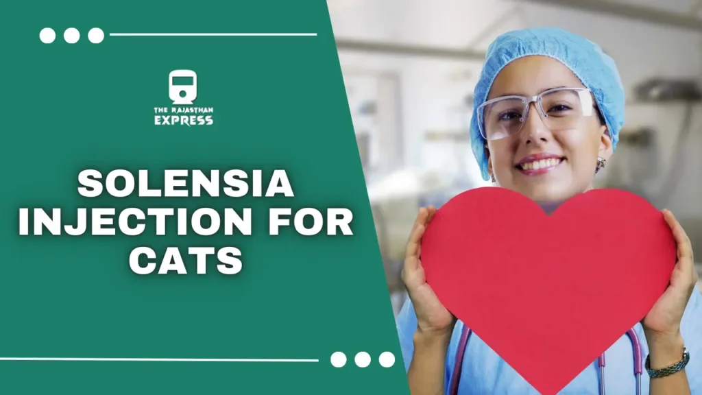 solensia for cats side effects ,solensia cat , solensia injection for cats ,. solensia injection ,. frunevetmab , cat solensia 
,side effects of solensia in cats 
,solensia cats side effects 
,solensia cat side effects 
,solensia dosage   
,solensia inj 
,solensia injections 
,solensia side effects 
,solensia side effects cats 
,solensia side effects in cats  ,