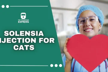 solensia for cats side effects ,solensia cat , solensia injection for cats ,. solensia injection ,. frunevetmab , cat solensia ,side effects of solensia in cats ,solensia cats side effects ,solensia cat side effects ,solensia dosage ,solensia inj ,solensia injections ,solensia side effects ,solensia side effects cats ,solensia side effects in cats ,