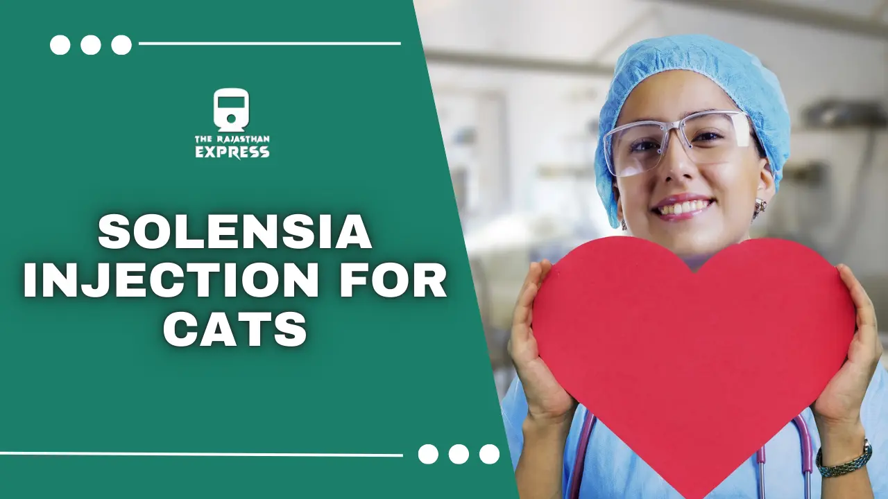 solensia for cats side effects ,solensia cat , solensia injection for cats ,. solensia injection ,. frunevetmab , cat solensia ,side effects of solensia in cats ,solensia cats side effects ,solensia cat side effects ,solensia dosage ,solensia inj ,solensia injections ,solensia side effects ,solensia side effects cats ,solensia side effects in cats ,